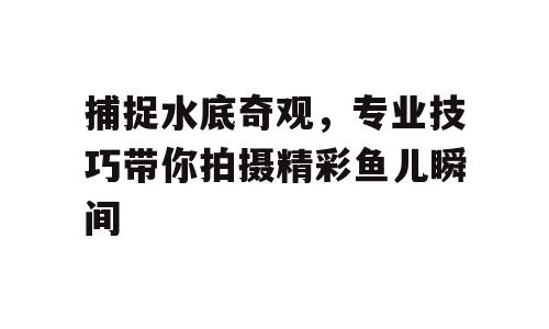 捕捉水底奇观，专业技巧带你拍摄精彩鱼儿瞬间