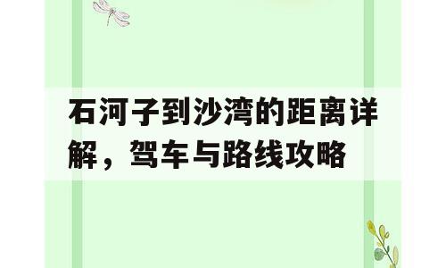 石河子到沙湾的距离详解，驾车与路线攻略