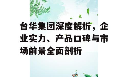 台华集团深度解析，企业实力、产品口碑与市场前景全面剖析