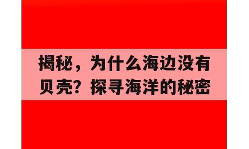 揭秘，为什么海边没有贝壳？探寻海洋的秘密