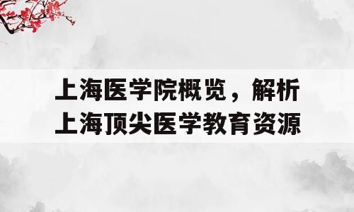 上海医学院概览，解析上海顶尖医学教育资源