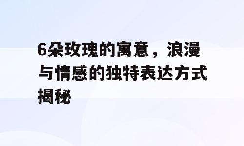 6朵玫瑰的寓意，浪漫与情感的独特表达方式揭秘