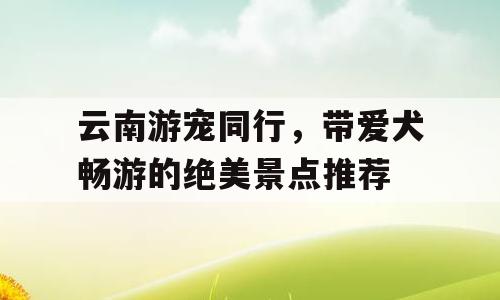 云南游宠同行，带爱犬畅游的绝美景点推荐