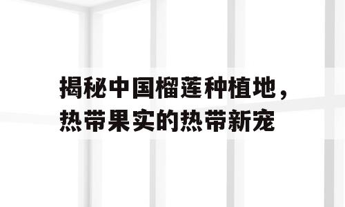 揭秘中国榴莲种植地，热带果实的热带新宠