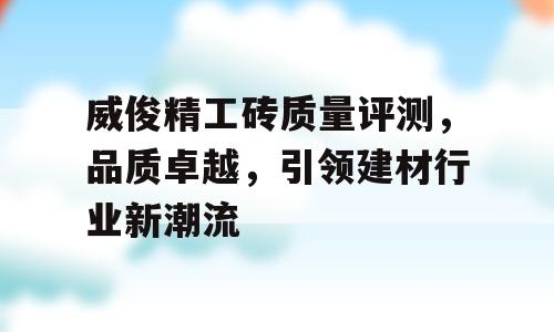 威俊精工砖质量评测，品质卓越，引领建材行业新潮流