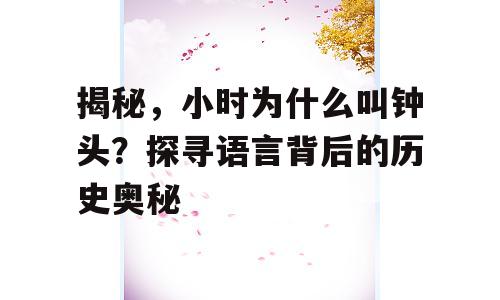 揭秘，小时为什么叫钟头？探寻语言背后的历史奥秘