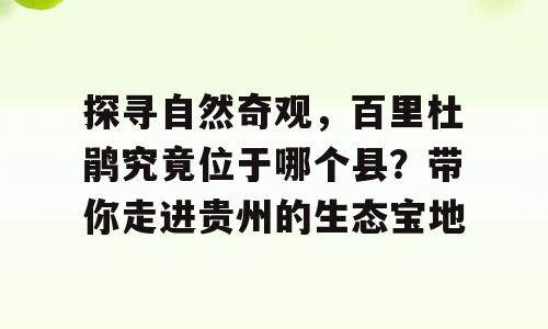 探寻自然奇观，百里杜鹃究竟位于哪个县？带你走进贵州的生态宝地