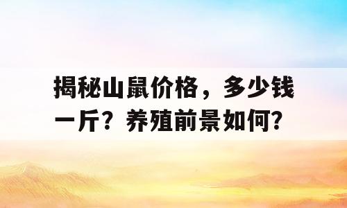 揭秘山鼠价格，多少钱一斤？养殖前景如何？