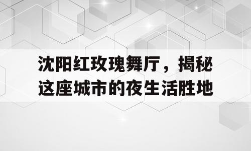 沈阳红玫瑰舞厅，揭秘这座城市的夜生活胜地