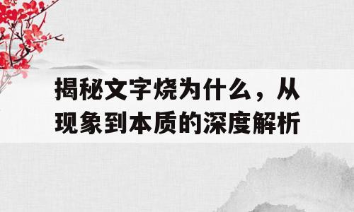 揭秘文字烧为什么，从现象到本质的深度解析