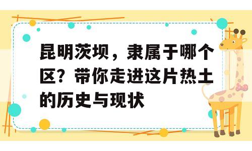 昆明茨坝，隶属于哪个区？带你走进这片热土的历史与现状