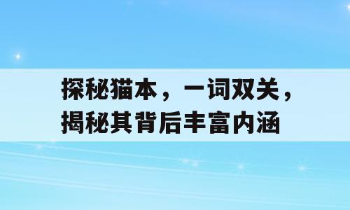 探秘猫本，一词双关，揭秘其背后丰富内涵