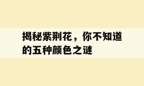 揭秘紫荆花，你不知道的五种颜色之谜