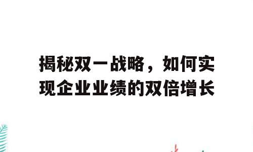 揭秘双一战略，如何实现企业业绩的双倍增长
