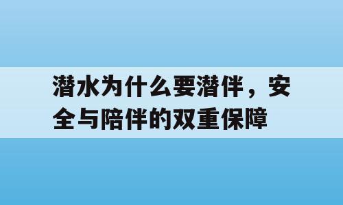 潜水为什么要潜伴，安全与陪伴的双重保障
