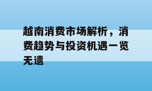 越南消费市场解析，消费趋势与投资机遇一览无遗