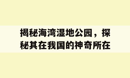 揭秘海湾湿地公园，探秘其在我国的神奇所在