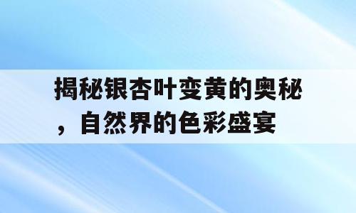 揭秘银杏叶变黄的奥秘，自然界的色彩盛宴