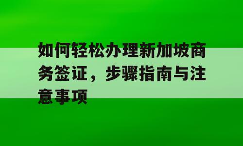 如何轻松办理新加坡商务签证，步骤指南与注意事项