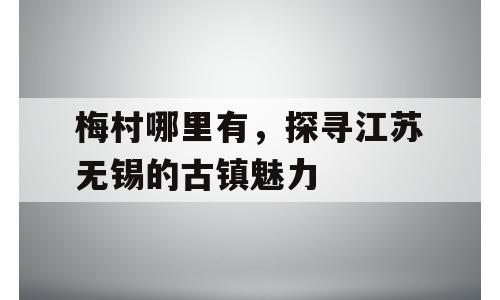 梅村哪里有，探寻江苏无锡的古镇魅力