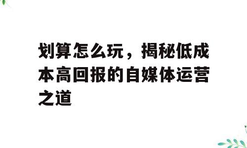 划算怎么玩，揭秘低成本高回报的自媒体运营之道