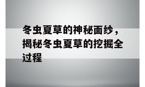 冬虫夏草的神秘面纱，揭秘冬虫夏草的挖掘全过程