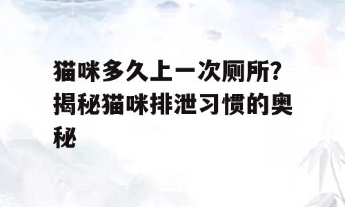 猫咪多久上一次厕所？揭秘猫咪排泄习惯的奥秘