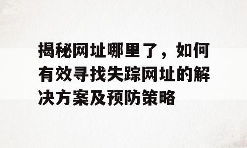 揭秘网址哪里了，如何有效寻找失踪网址的解决方案及预防策略