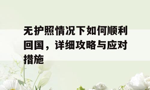 无护照情况下如何顺利回国，详细攻略与应对措施