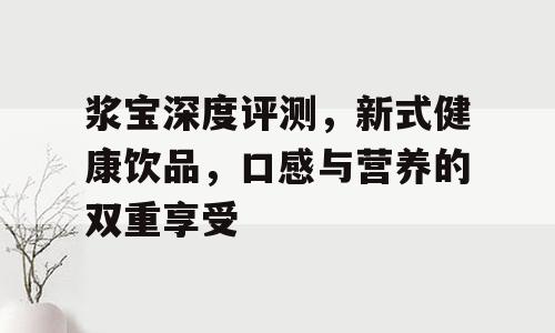 浆宝深度评测，新式健康饮品，口感与营养的双重享受