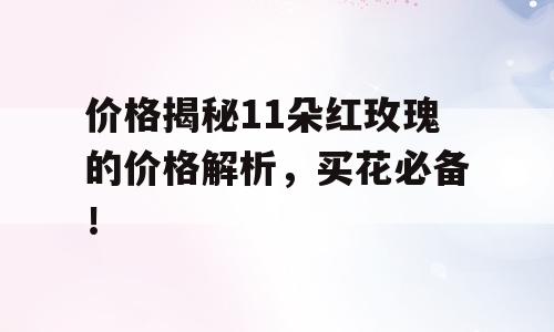 价格揭秘11朵红玫瑰的价格解析，买花必备！