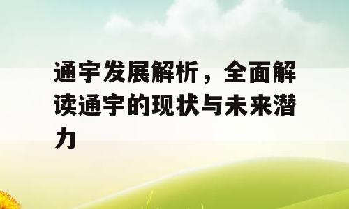 通宇发展解析，全面解读通宇的现状与未来潜力