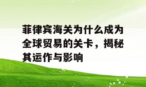 菲律宾海关为什么成为全球贸易的关卡，揭秘其运作与影响