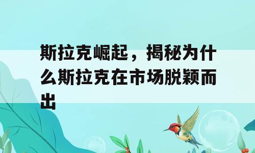 斯拉克崛起，揭秘为什么斯拉克在市场脱颖而出