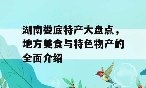 湖南娄底特产大盘点，地方美食与特色物产的全面介绍