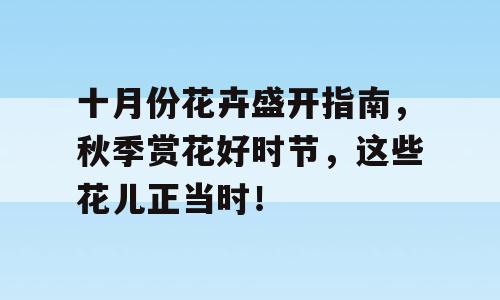 十月份花卉盛开指南，秋季赏花好时节，这些花儿正当时！