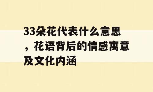 33朵花代表什么意思，花语背后的情感寓意及文化内涵