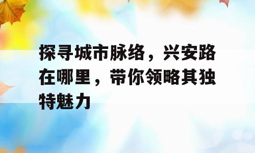 探寻城市脉络，兴安路在哪里，带你领略其独特魅力