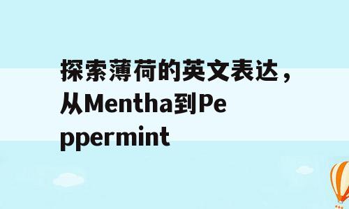 探索薄荷的英文表达，从Mentha到Peppermint
