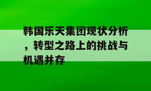 韩国乐天集团现状分析，转型之路上的挑战与机遇并存