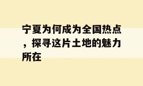 宁夏为何成为全国热点，探寻这片土地的魅力所在