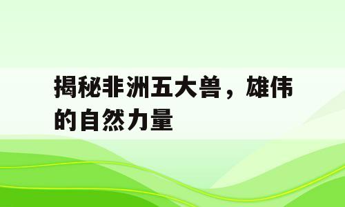 揭秘非洲五大兽，雄伟的自然力量