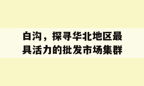 白沟，探寻华北地区最具活力的批发市场集群