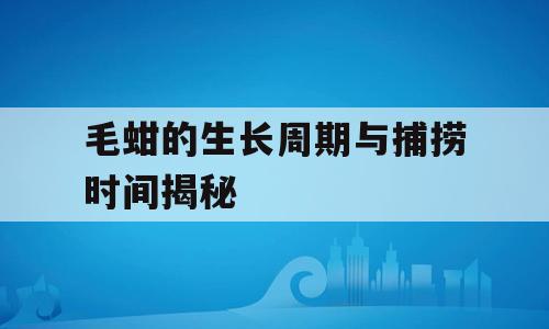 毛蚶的生长周期与捕捞时间揭秘
