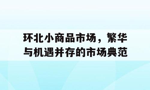 环北小商品市场，繁华与机遇并存的市场典范