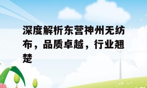 深度解析东营神州无纺布，品质卓越，行业翘楚