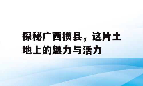 探秘广西横县，这片土地上的魅力与活力
