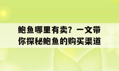 鲍鱼哪里有卖？一文带你探秘鲍鱼的购买渠道