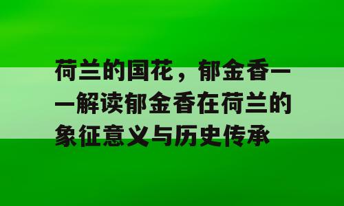 荷兰的国花，郁金香——解读郁金香在荷兰的象征意义与历史传承