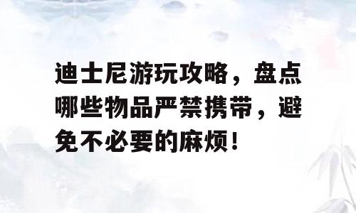 迪士尼游玩攻略，盘点哪些物品严禁携带，避免不必要的麻烦！